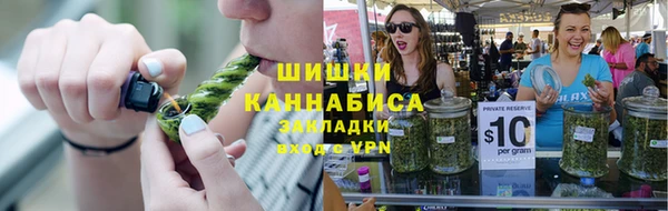 дживик Майский
