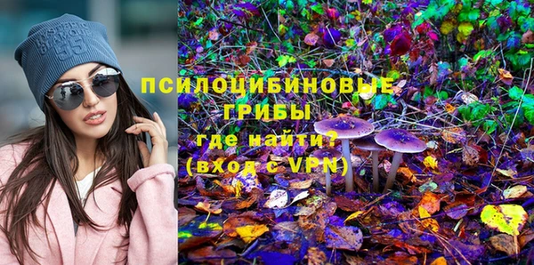 дурь Алзамай