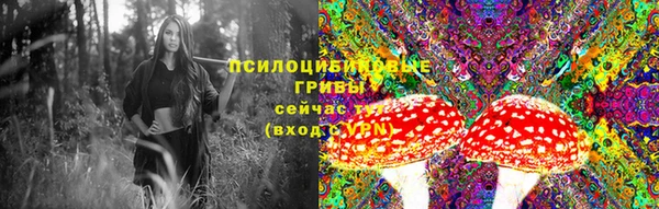 эйфоретик Магас