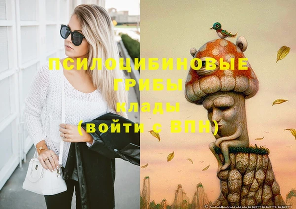 дурь Алзамай
