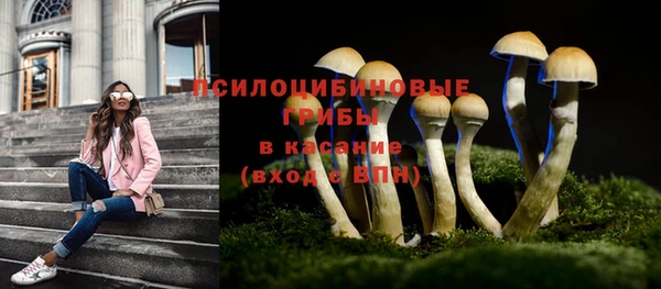 дурь Алзамай