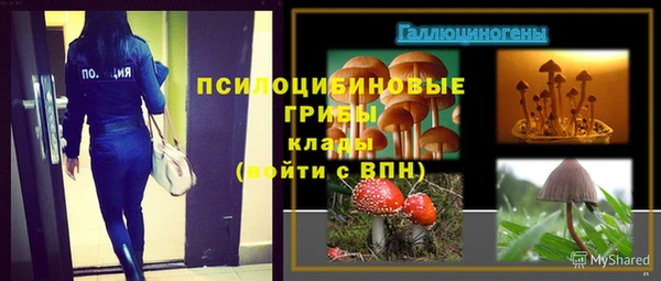 дурь Алзамай