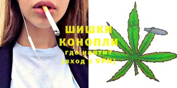дживик Майский