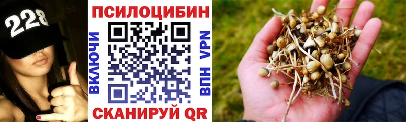Галлюциногенные грибы MAGIC MUSHROOMS Евпатория