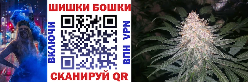 как найти закладки  Евпатория  Бошки Шишки сатива 